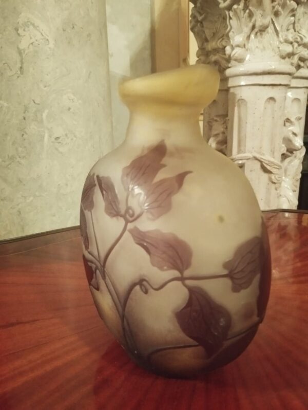 Product 1 - Image 6