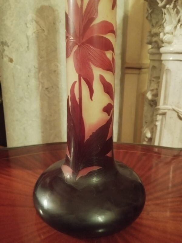 Product 2 - Image 5