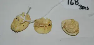 3 Chinese marine ivory animal netsukes.
