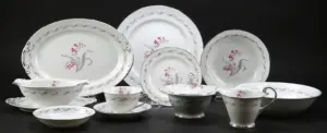 Seventy Four (74) Piece Elain Porcelain Dinner Service