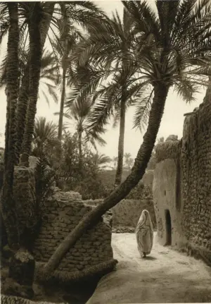 Lehnert & Landrock - Biskra Oasis - Gravure