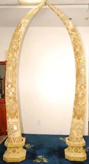 Exquisite Hand Carved Dragon Bone Tusks Pair 10 Fe