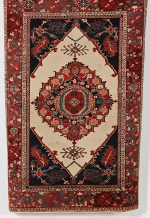 Fine Serapi Style Small Carpet