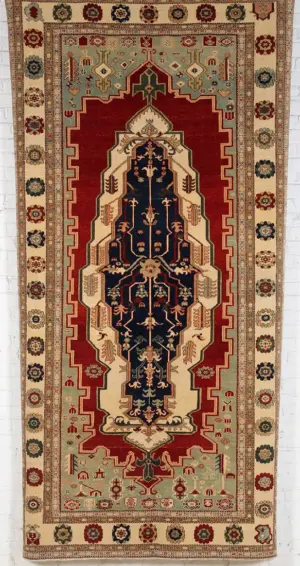 Fine Serapi Style Long Carpet