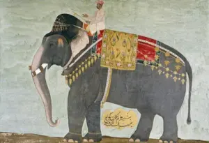 Mughal - Portrait Of The Elephant 'Alam-Guman Gajraj' - Giclée On Canvas