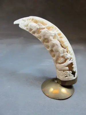 Old hand carved walrus tusk