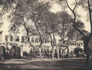 Hammerschmidt, Wilhelm: Hotel Shapheard