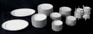 73 Piece Haviland Limoges China Set
